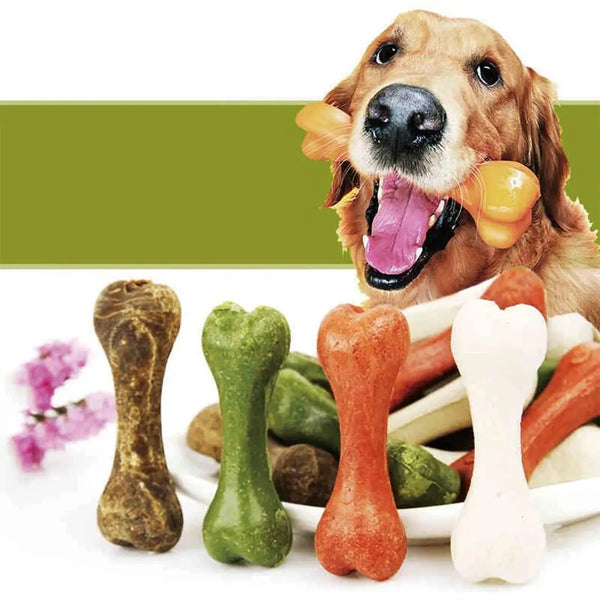5 Pcs Dog Chew Toys Teething Bones Golden Retriever Chewing Teether for Puppies