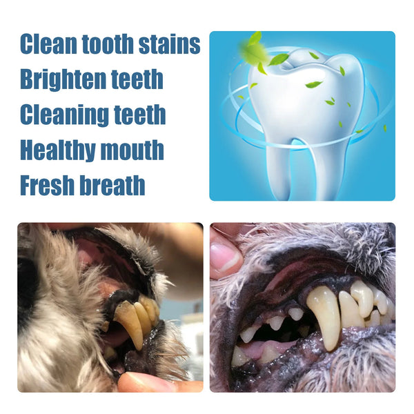 Pet Teeth Cleaning Tools Pet Grooming Toothbrush Cleaning Kit Tartar Remover Tartar Scraper Dog Dental Stain Cleaning Pen