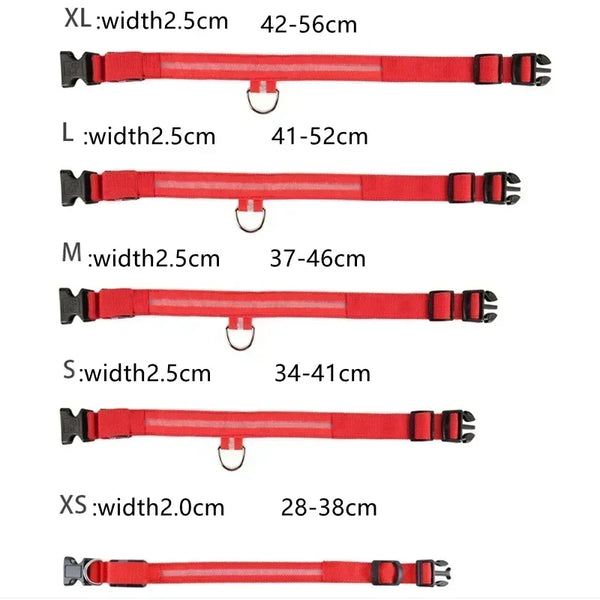 LED Glowing Dog Collar Adjustable Flashing Rechargea Luminous Collar Night Anti-Lost Dog Light HarnessFor Small Dog Pet Products