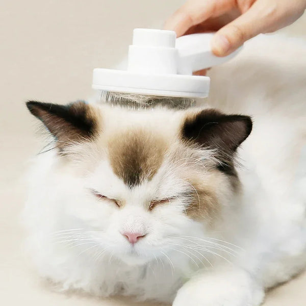 1Pc Cat Comb Hair Removal Pet Magic Comb One Click Floating Hair Removal Cat Dog Universal Cleaning Beauty Supplies