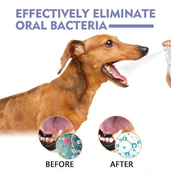 60ml Pet Spray Dog Oral Care Bad Breath Teeth Cleaning Freshener Pet Pet Remover Deodorant Supply Plaque Breath Care L2t8