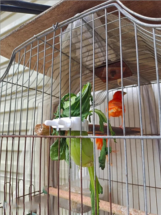 Cute Small Pet Bird Food Holder Parrot Fruits Vegetables Clip Cuttlefish Bone Feeder Device Clamp Bird Cage Accessories Oiseaux