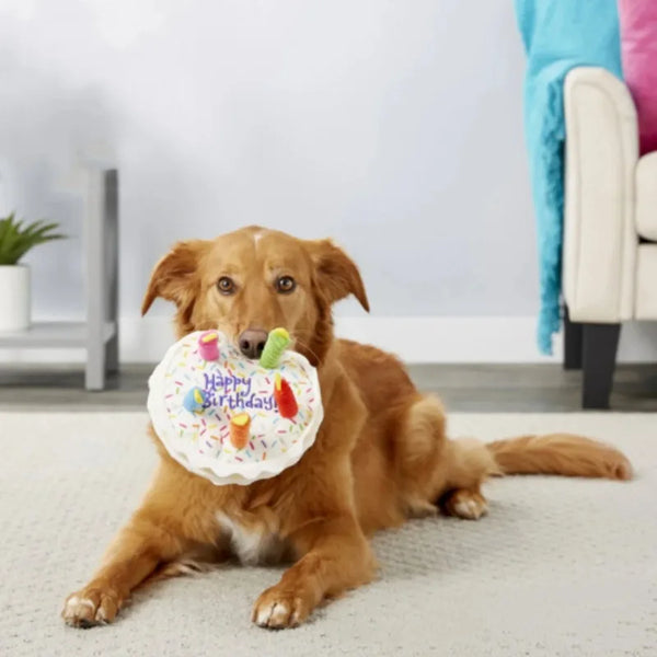 Birthday Cake Dog Toy Soft Plush Squeaky with Colourful Candles Durable Funny Stuffed Chew for Large Breeds Birthday Gift scarf