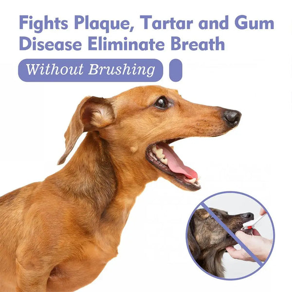 60ml Pet Spray Dog Oral Care Bad Breath Teeth Cleaning Freshener Pet Pet Remover Deodorant Supply Plaque Breath Care L2t8