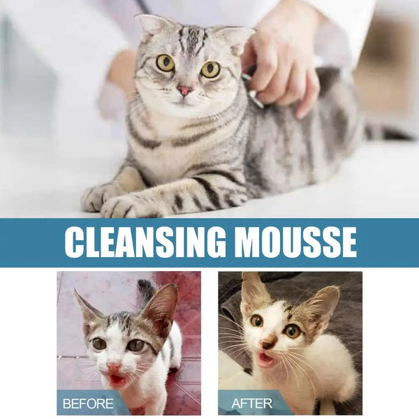 Cat Dry Shampoo No Rinse Dogs Cats Cleaning Mousse Rinse Free Pet Shampoo Bathless Cleaning Odor Removal Cleaning Supplies