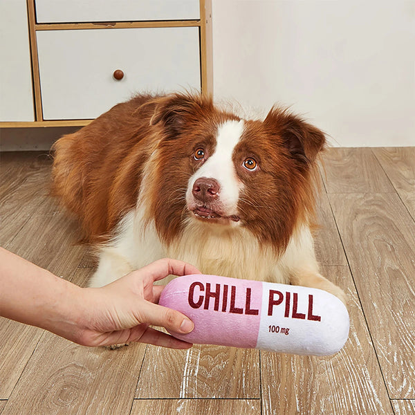 CHILL Pill-Shaped Dog Toy with Squeaker - Durable, Pet Play and Dental Health