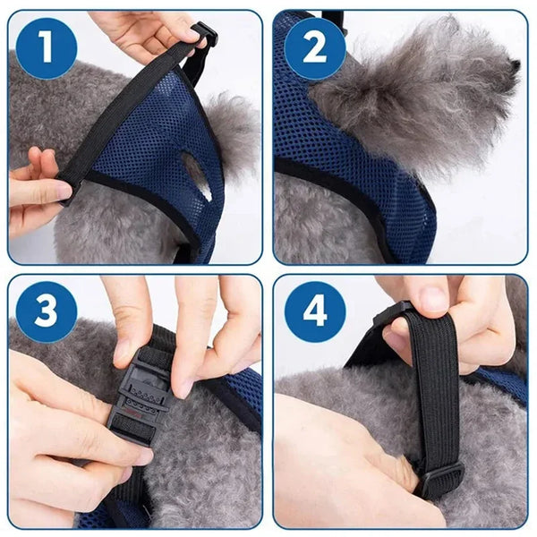 Pets Physiological Washable Menstruation Briefs Dog Leak Proof Hygiene Kecks Panties for Small Large Dogs Pet Sanitary Underwear