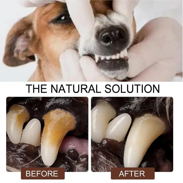 30ml Pet Tooth Cleaning Spray Dogs Remove Bad Breath Freshener Cats Oral Cleaning Dental Care Deodorization Spray Whitens Teeth