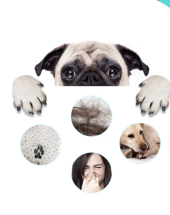 Dog Paw Cleaner Cup Soft Silicone Combs Portable Outdoor Pet towel Foot Washer Paw Clean Brush Quickly Wash Foot Cleaning Bucket