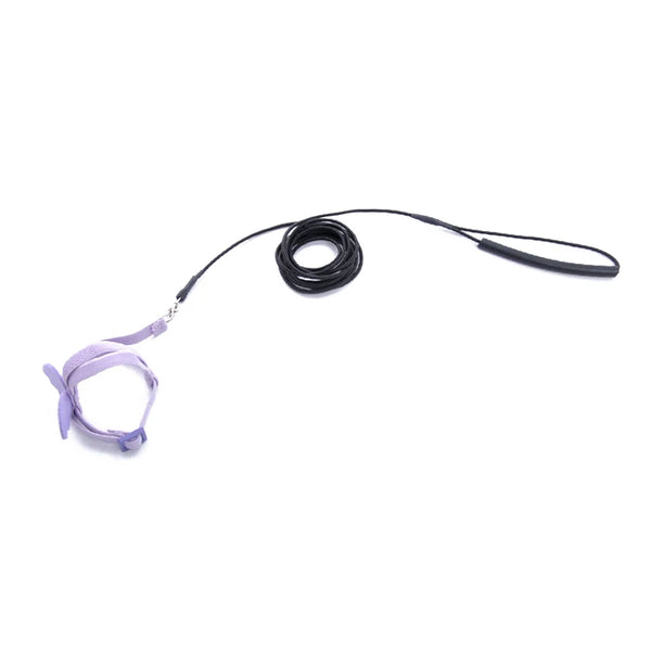 Parrot Flying Harness Leash Suit Pet Bird Outdoor Flight Training Rope Cockatiel Supplies Macaw Accessories  Stuff For Budgie