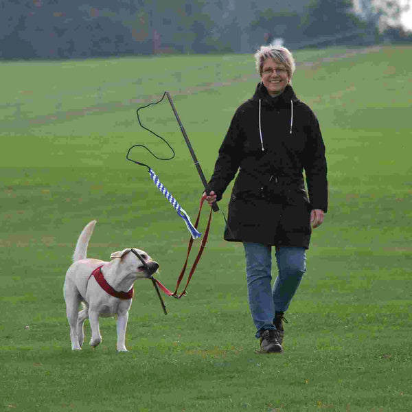 Extendable Pole Dog Teaser Durable Pet Toy Cotton Rope Puppy Training Stick Interactive Flirt Pole Chasing Dog Toys