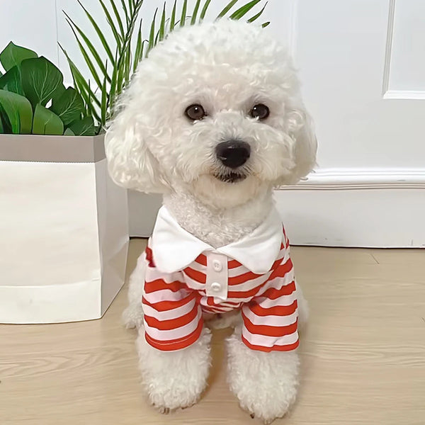 Dog Clothes Teddy York Shire Polo Shirt Summer Dress Striped Pet T-Shirt Dog Costume Soft Pullover Suit for Dog Puppy