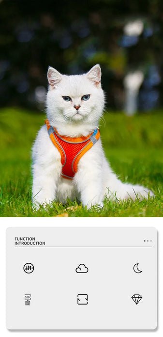 Adjustable Anti-Escape Small Cat Belt Kitten Harness Light Breathable Soft Pet Vest Wiring Harness Traction Belt Kitten Walking