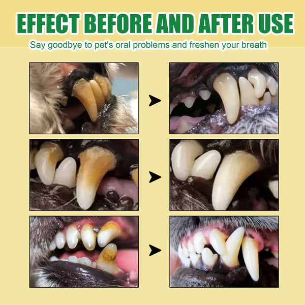 Pet Teeth Cleaning Spray Dog Cat Teeth Calculus Stain Remover Deodorant Kitten Bad Breath Treatment Pet Oral Care Tool