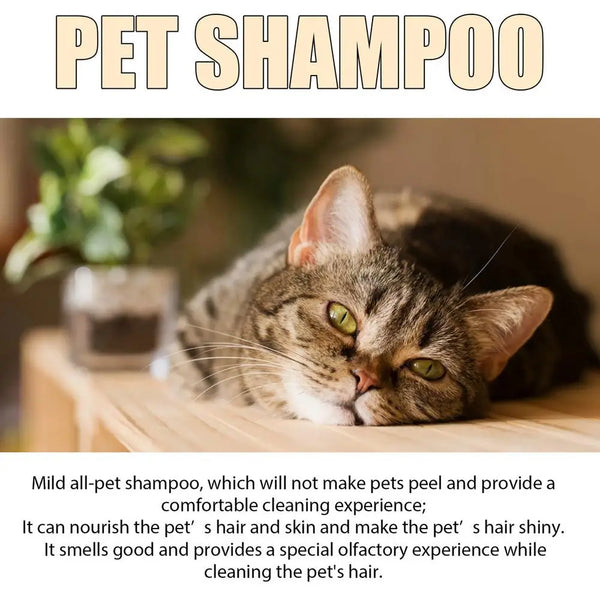 Organic Dog Shampoo Dog Shampoo For Smelly Dogs Itchy Skin Relief 100ml Gentle Pet Grooming Dog Body Wash Deep Cleansing Puppy