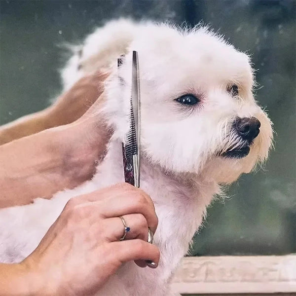 New Safty Pet Grooming Scissors Round Head Professional Stainless Steel Dog Hair Scissors Pet Shears Animal Cutting Portable Set