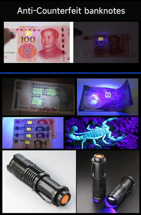 UV LED Flashlight Portable Blacklight 395nm Wavelength Violet Light Pet Urine Scorpion Feminine Hygiene Detector Torch