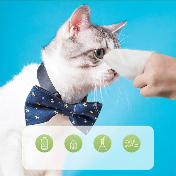 Pet Cleaning Wipes 80X Hydrating Pet Wet Pads Pet Supplies Cleaning Pads Natural Grooming Kit Care Dog Cat Ear Eye Cleaner For
