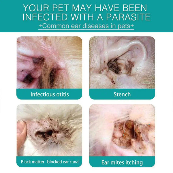 Pet Finger Wipes Dog Wipes Ear and Cochlear Care Safe & Effective Cat Teeth Wipes Pet Supplies for Teeth Cleanings