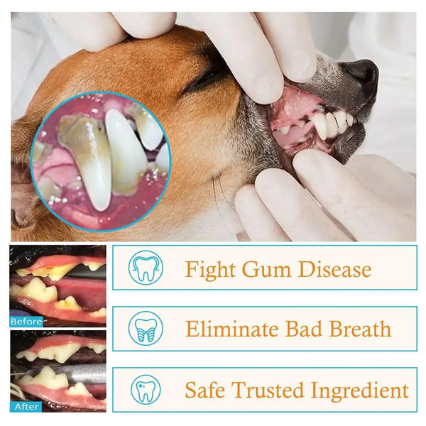 50Pcs Presoaked Dog Toothbrushes Soft Pet Fingers Toothbrush Dog Cat Cotton Brush Teeth Oral Cleaning Kitten Effective Care