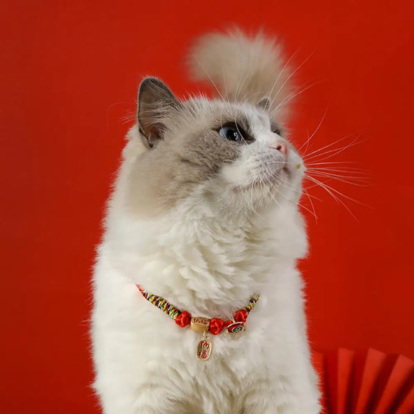 Chic  Pet Collar Comfy Chinese Style Lucky Small Dog Puppy Cat Choker Braided Soft Pet Necklace for Daily