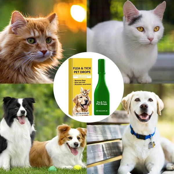 1pcs Dogs And Cats Anti Flea Drops Lice Remove Relieve External Tick Supplies Repellent Treatments Itching Drops Skin Pet