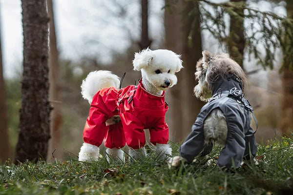 Dog Raincoat with Harness Waterproof Pet Jumpsuit for Small Medium Dogs Adjustable Reflective Puppy Rain Coat Chihuahua Rainwear