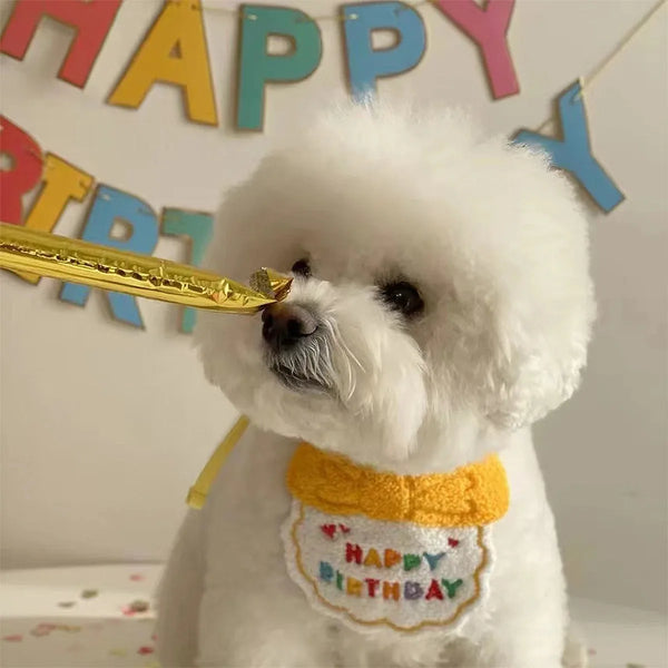 Pet's Birthday Special with this Adorable Dog, Cat Birthday Hat & Bandana Set!