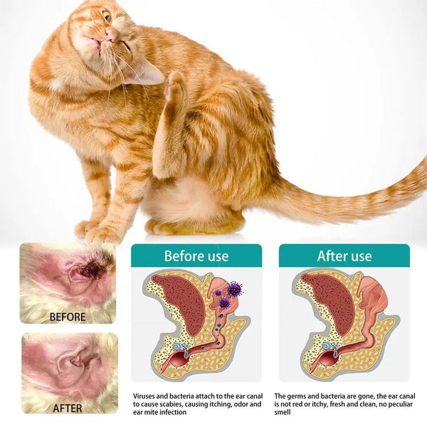 Pet Finger Wipes Dog Wipes Ear and Cochlear Care Safe & Effective Cat Teeth Wipes Pet Supplies for Teeth Cleanings