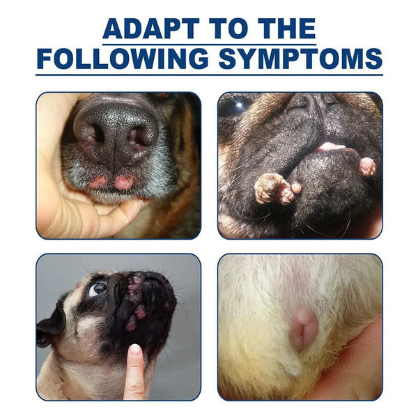 Pets Dog Wart Remover Natural Painless Animal Warts Care Supplies Cleaning Liquid Tag Treatment Skin Pet Warts Eliminate Mo V3D3