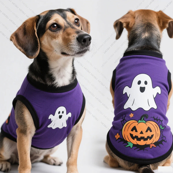 Halloween-Spooky Sweater Pet Attire  Cute Quick-drying Fabric