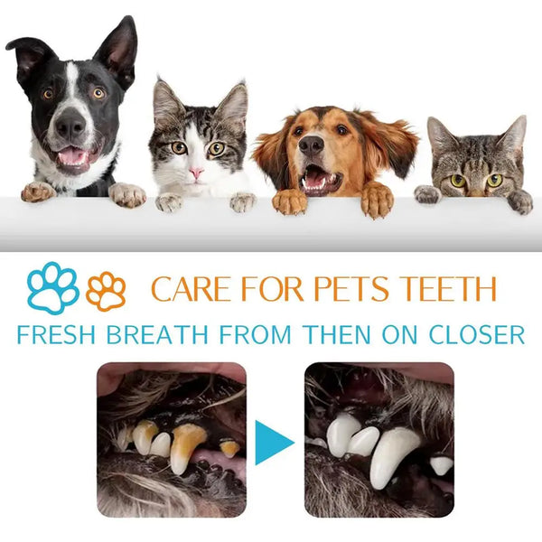 50Pcs Presoaked Dog Toothbrushes Soft Pet Fingers Toothbrush Dog Cat Cotton Brush Teeth Oral Cleaning Kitten Effective Care