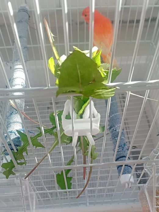 Cute Small Pet Bird Food Holder Parrot Fruits Vegetables Clip Cuttlefish Bone Feeder Device Clamp Bird Cage Accessories Oiseaux