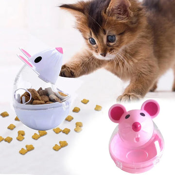Pet Bowls