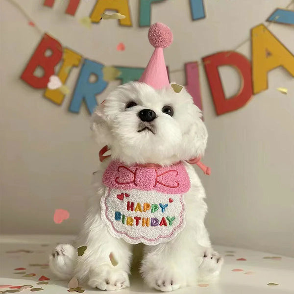 Pet's Birthday Special with this Adorable Dog, Cat Birthday Hat & Bandana Set!
