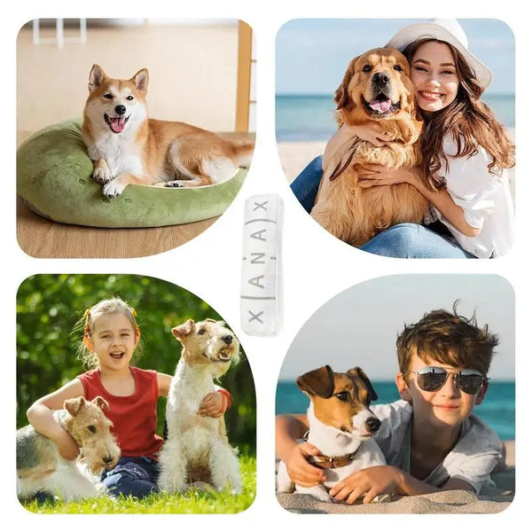 Squeaky Dog Toy Unique Fun Dog Teething Toys Interactive Dog Sounding Toys Pet Plush Toys For Dog Teething And Chewing