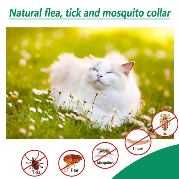 New High-end Pet Flea Killer Drops 60ml Anti Fleas Cats Ticks Lice Mite Removal Relieve Itching Antiseptic Pet Wound & Skin Care
