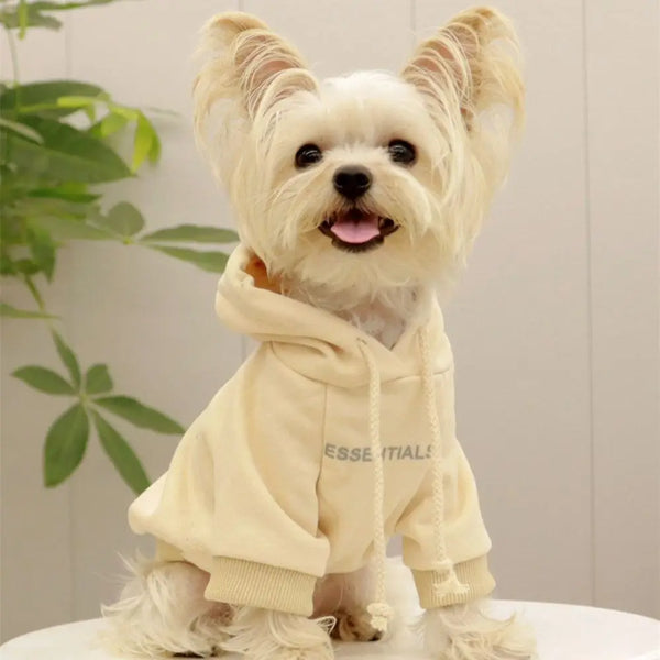 Dog T-Shirt Summer Dog Clothes Casual Clothing for Small Large Dogs Cats Chihuahua Pug Costumes Yorkshire Shirts， dog costume