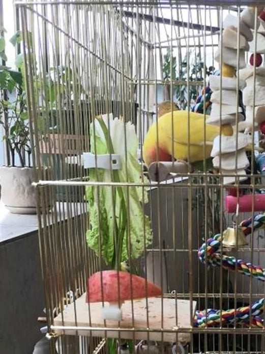 Cute Small Pet Bird Food Holder Parrot Fruits Vegetables Clip Cuttlefish Bone Feeder Device Clamp Bird Cage Accessories Oiseaux