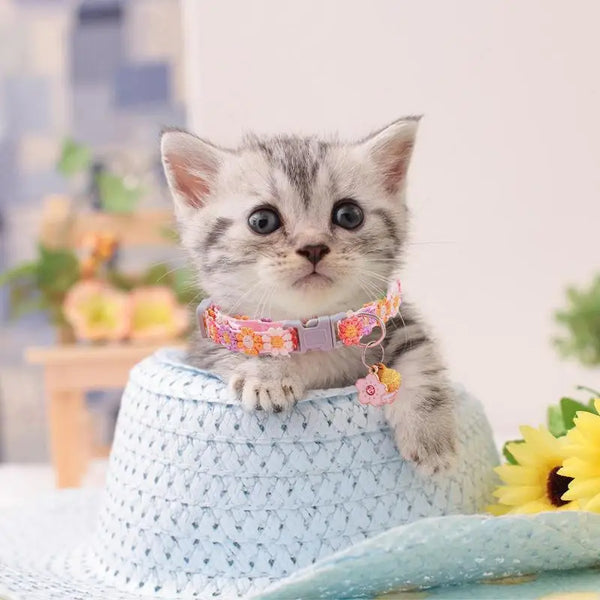 Kitten Collar Breakaway Adjustable Dog Collar with Bell Pet Supplies Cat Accessories Cute Kitten Costume Neck Decor for Puppy