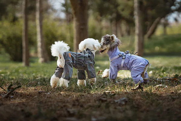 Dog Raincoat with Harness Waterproof Pet Jumpsuit for Small Medium Dogs Adjustable Reflective Puppy Rain Coat Chihuahua Rainwear