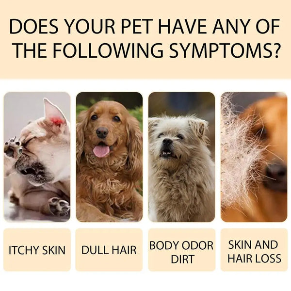 Organic Dog Shampoo Dog Shampoo For Smelly Dogs Itchy Skin Relief 100ml Gentle Pet Grooming Dog Body Wash Deep Cleansing Puppy