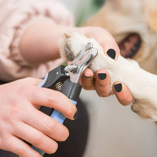 Dog Nail Trimmers and Cat Nail Clipper Set,Professional Dog Nail Clippers for Small Breeds, Pet Trimmers, Safe Cat Claw Clippers