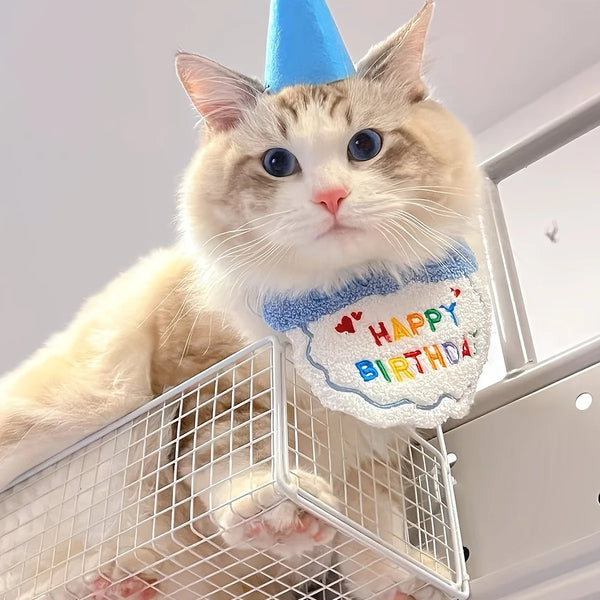 Pet's Birthday Special with this Adorable Dog, Cat Birthday Hat & Bandana Set!