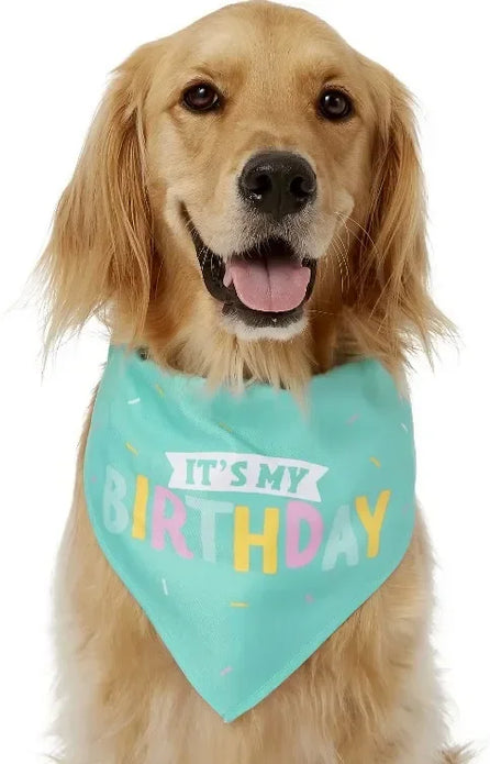 Birthday Cake Dog Toy Soft Plush Squeaky with Colourful Candles Durable Funny Stuffed Chew for Large Breeds Birthday Gift scarf