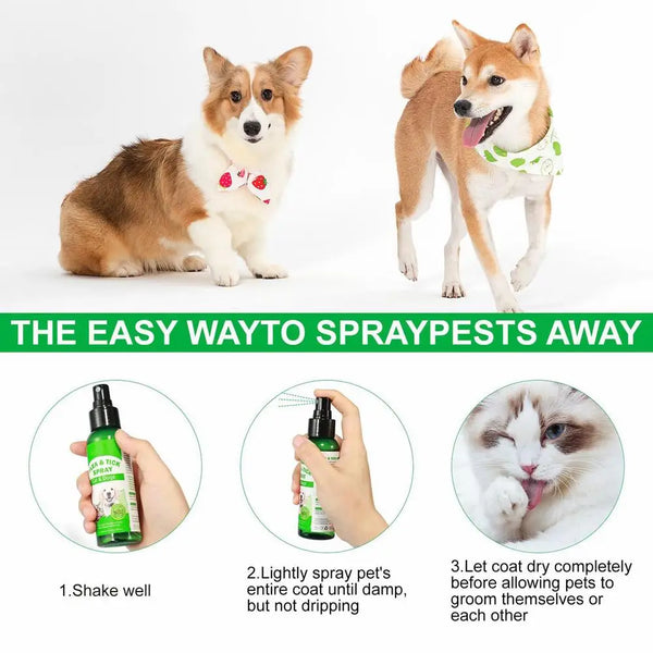 100ml Natural Care Flea And Tick Spray For Dogs And Cats Flea Spray For Indoor Outdoor Dogs And Cats Flea Spray Pet Protect
