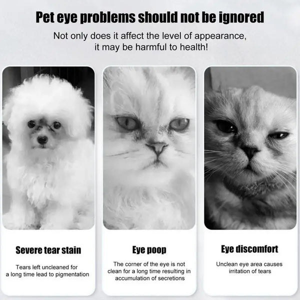 Pet Tear Stain Powder Natural Tear Stain Remover Powder Non-Irritating Absorbing Pet Supplies Dog Eye Care With Brush For All