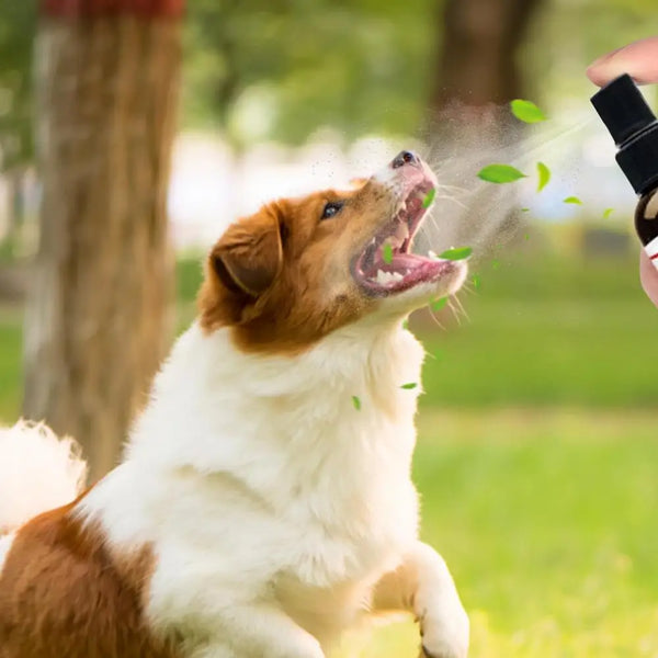 30ml Pet Tooth Cleaning Spray Dogs Remove Bad Breath Freshener Cats Oral Cleaning Dental Care Deodorization Spray Whitens Teeth