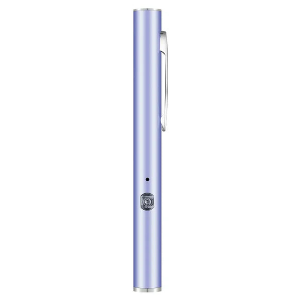 365 UV Veterinary Wood Lamp Pet Fungus Detection Waterproof Flashlight Skin Ultraviolet Light Cat Moss Tinea Light Black Mirror