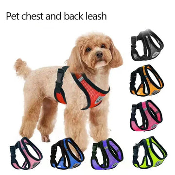 Leashes